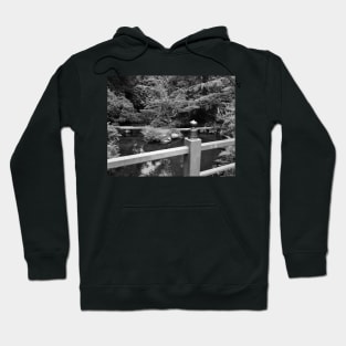 Still Time. Kubota Japanese Gardens, Renton, WA Hoodie